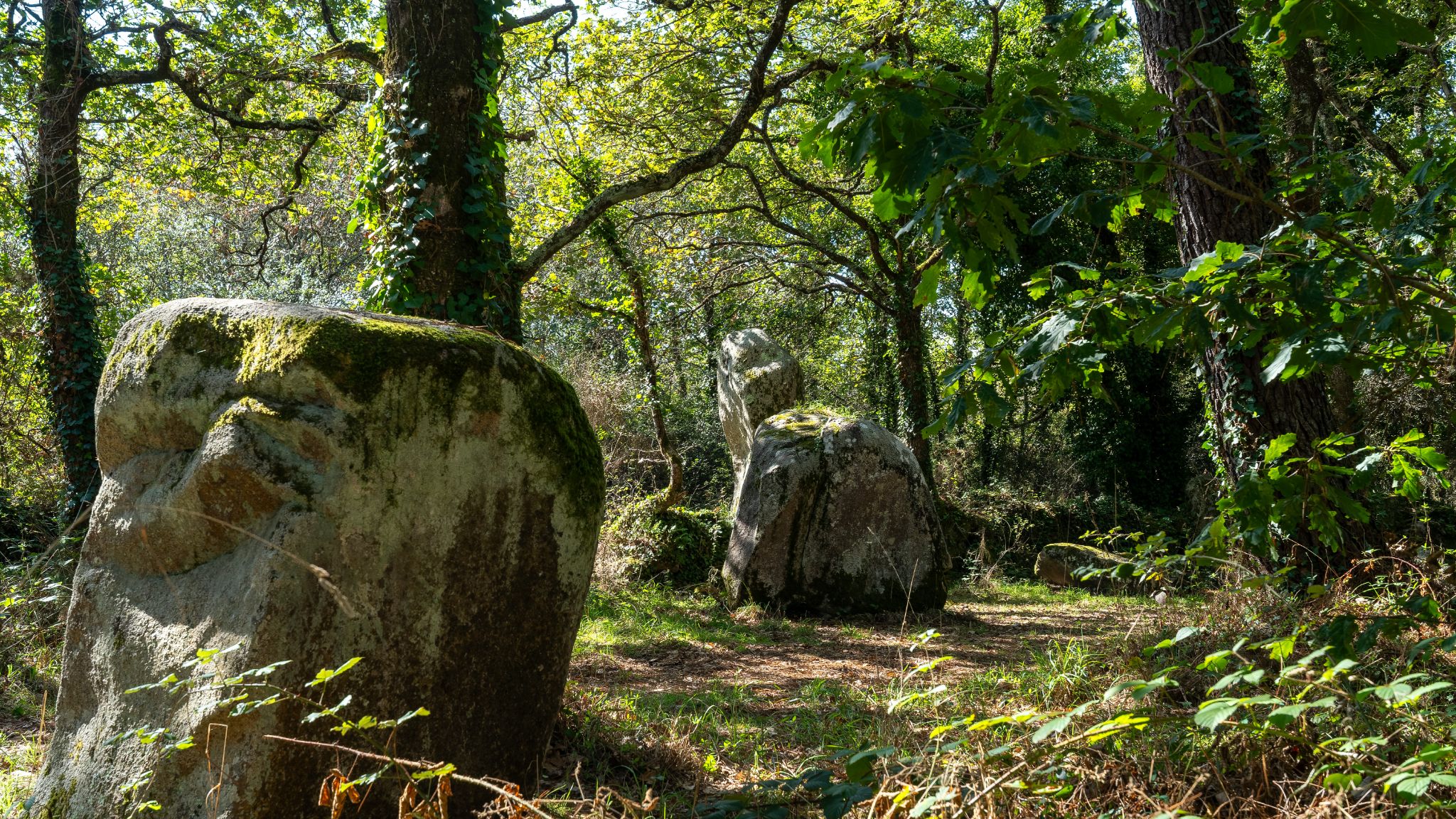 Erdeven ist eine Gemeinde mit etwa 4.000 Einwohnern im Département Morbihan. Die Küstengemeinde bietet kilometerlange Strände, geschützte Dünen und die bedeutende Megalith-Anlage von Kerzerho.